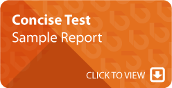 Concise Test Report Sample Report